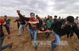  Hàng trăm người thương vong do đụng độ giữa người Palestine và quân đội Israel